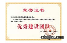 20231101山东威高“优秀建设团队”