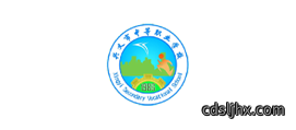图层 27